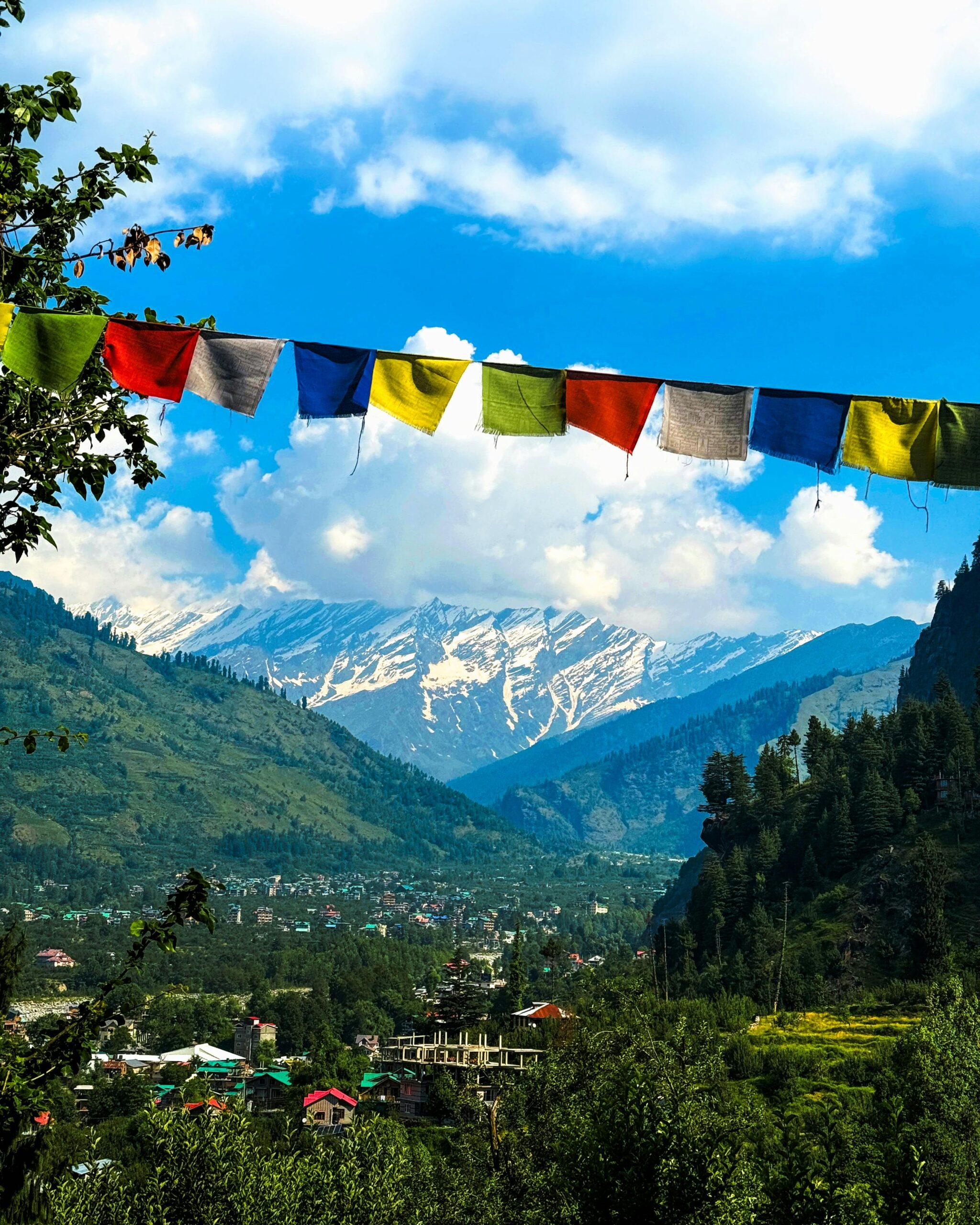 Scenic View of a Valley and Snowcapped Mountains in the Distance